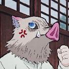 醉不了